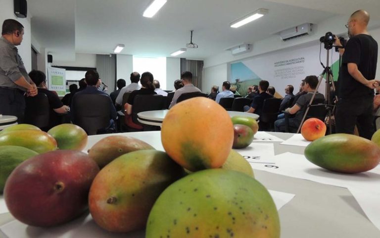 Frutas e hortalias para pases da OCDE podero ser certificadas por fiscais do Mapa frutas-e-hortalias-para-pases-da-ocde-podero-ser-certificadas-por-fiscais-do-mapa