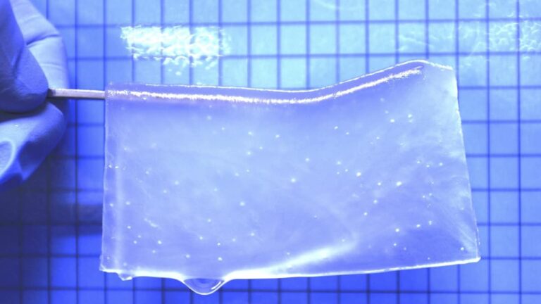 Hidrogel pode recuperar tecidos cerebrais hidrogel-pode-recuperar-tecidos-cerebrais
