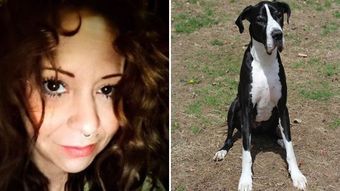 Cachorros enormes atacam ferozmente e matam americana na frente de seu filho cachorros-enormes-atacam-ferozmente-e-matam-americana-na-frente-de-seu-filho