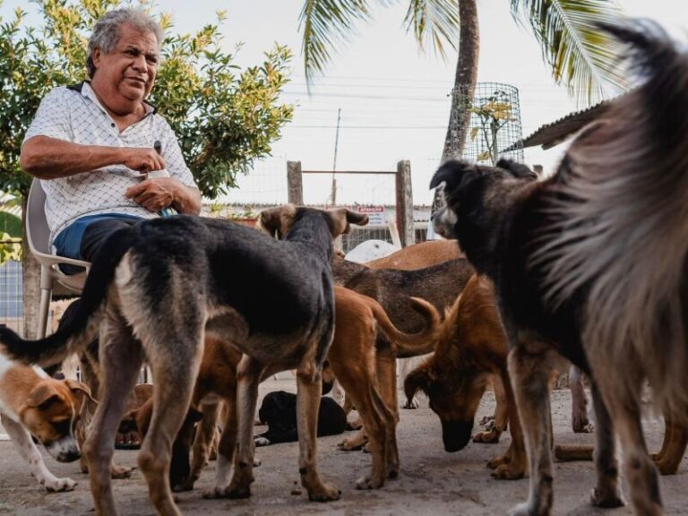 Projeto Ao faz rifa para sustentar Abrigo de Seu Alberto por um ms projeto-ao-faz-rifa-para-sustentar-abrigo-de-seu-alberto-por-um-ms