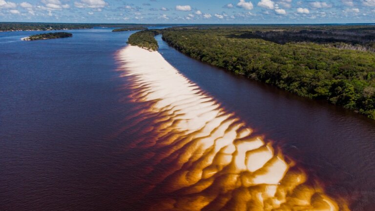 Conheça Barcelos, uma cidade com praias paradisíacas e pesca esportiva no AM | amazonas