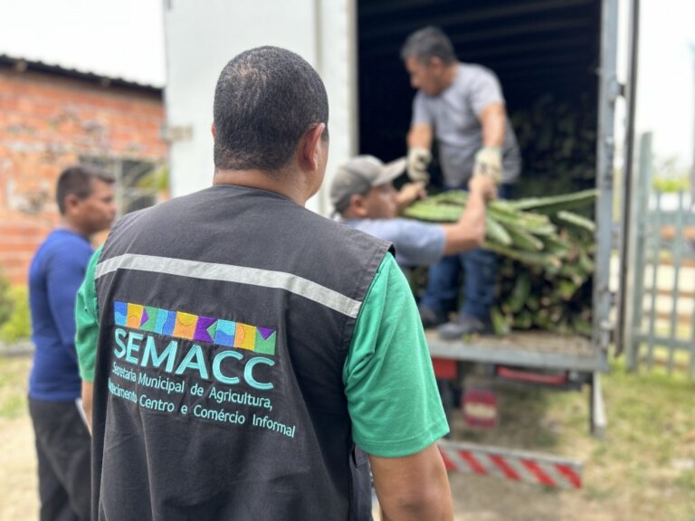 Prefeitura de Manaus distribuiu no primeiro trimestre cerca de 25 mil mudas de pitaya para fomentar a agricultura familiar