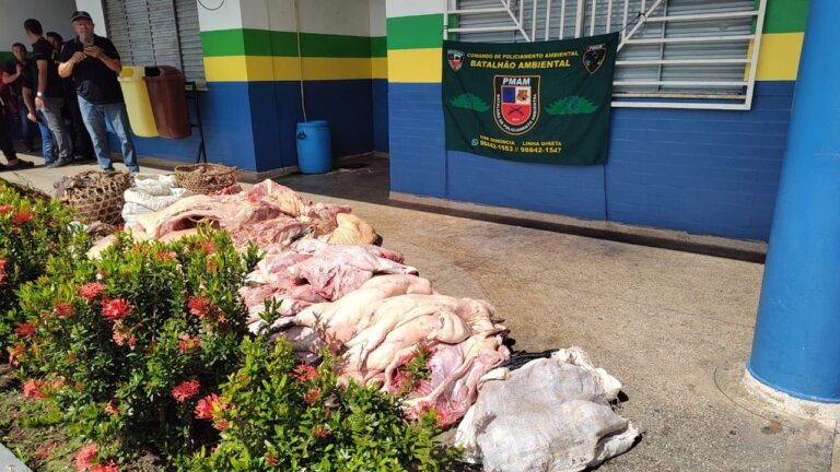 Batalhão Ambiental apreende 781 kg de carne de animais silvestres em feira no AM