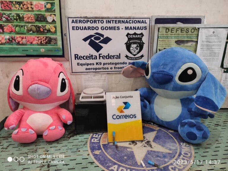 Brinquedos de pelúcia recheados com cocaína são entendidos em Manaus | amazonas