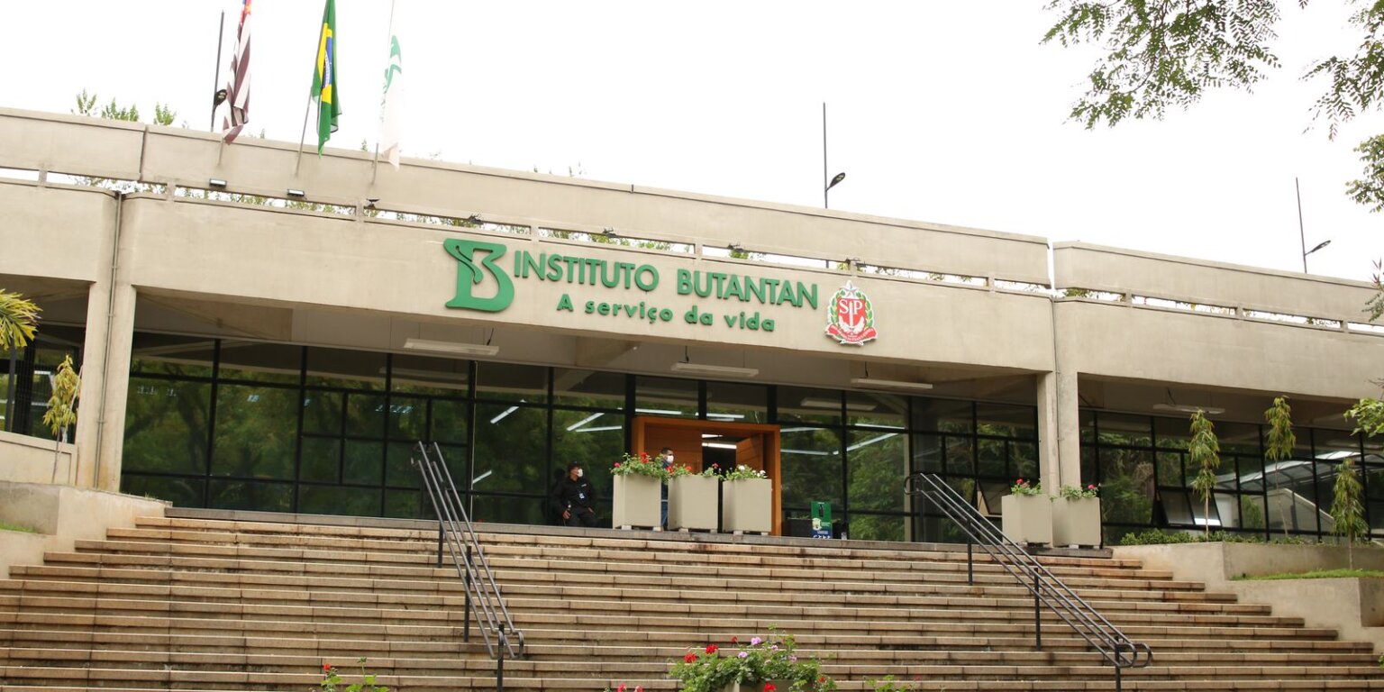 Butantan começa a desenvolver vacina contra gripe aviária