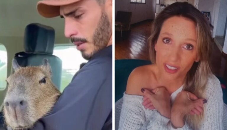 Capivara Filó e Luisa Mell: o que a ativista falou sobre o caso do animal apreendido pelo Ibama | amazonas