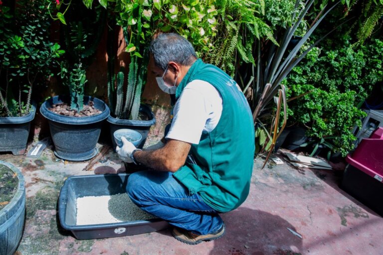 Diagnóstico aponta Manaus com médio risco para doenças transmitidas pelo Aedes aegypti e 19 bairros em alta vulnerabilidade