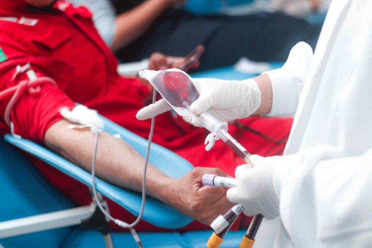 Hemoam faz mutirão para emissão de carteirinha do doador em Manaus |  amazonas