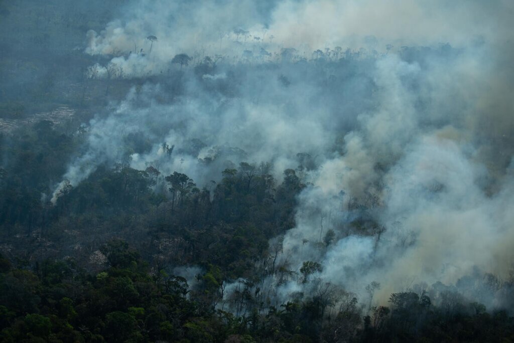 Ibama aplica R$ 47 milhões em multas e embarga 7,4 mil hectares em operação contra desmatamento no AM