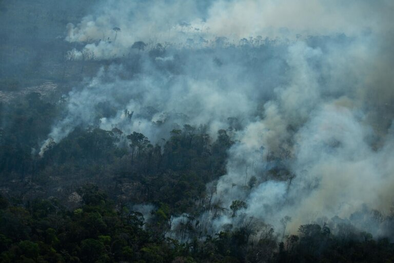 Ibama aplica R$ 47 milhões em multas e embarga 7,4 mil hectares em operação contra desmatamento no AM