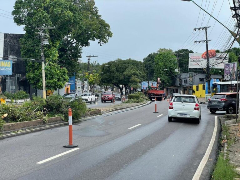 Mais de 50 árvores são cortadas para ampliação da avenida Efigênio Sales, em Manaus | amazonas