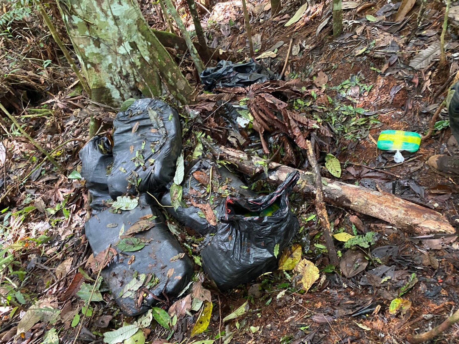 Quase meia tonelada de massa à base de cocaína é apreendida em pista clandestina usada por traficantes na Floresta Amazônica