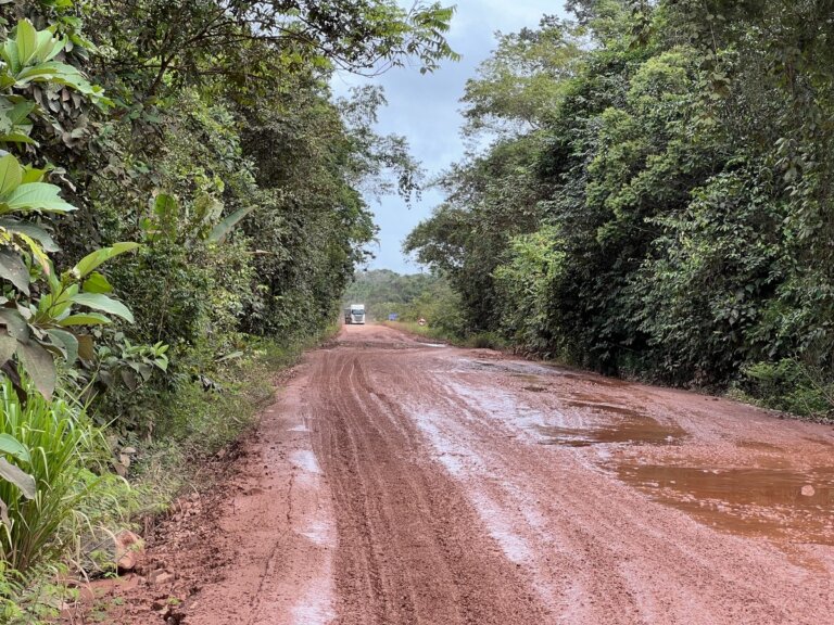 Recuperação da BR-174 começa em junho, diz governador do AM após reunião com ministro | amazonas