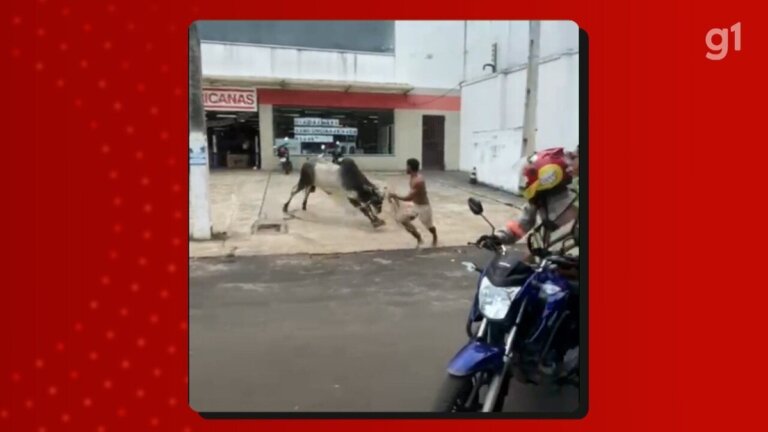 VÍDEO: boi causa tumulto em cidade no AM após fugir enquanto era transportado