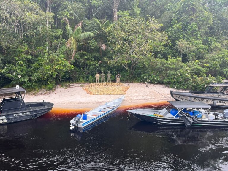 Cerca de 600 kg de maconha são apreendidos na fronteira do AM com a Colômbia | amazonas