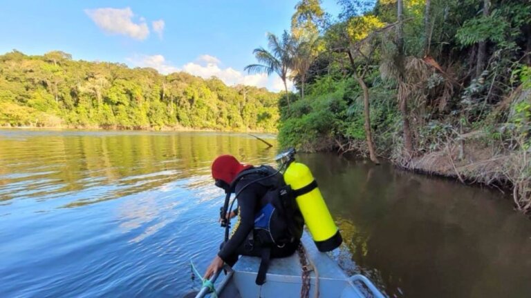 Morte de turista, fim da greve dos professores, Lana Del Rey no Amazonas: veja resumo da semana no g1