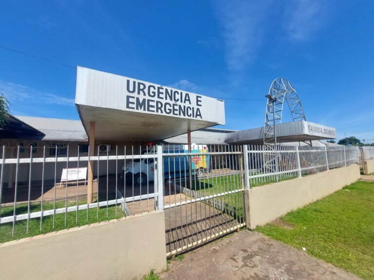 Mulher é mordida por macaco no interior do AM e é internada