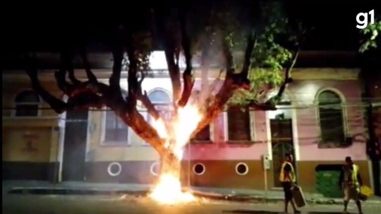 Árvore é incendiada no Centro de Manaus e caso gera revolta nas redes sociais; veja vídeo