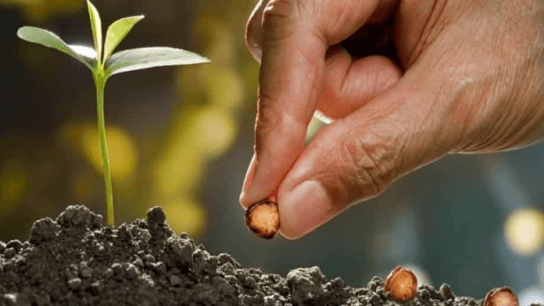 Semear – Artigo Cardeal Leonardo Steiner