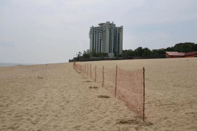 Praia da Ponta Negra é interditada para banhistas e recebe tela de proteção devido à seca