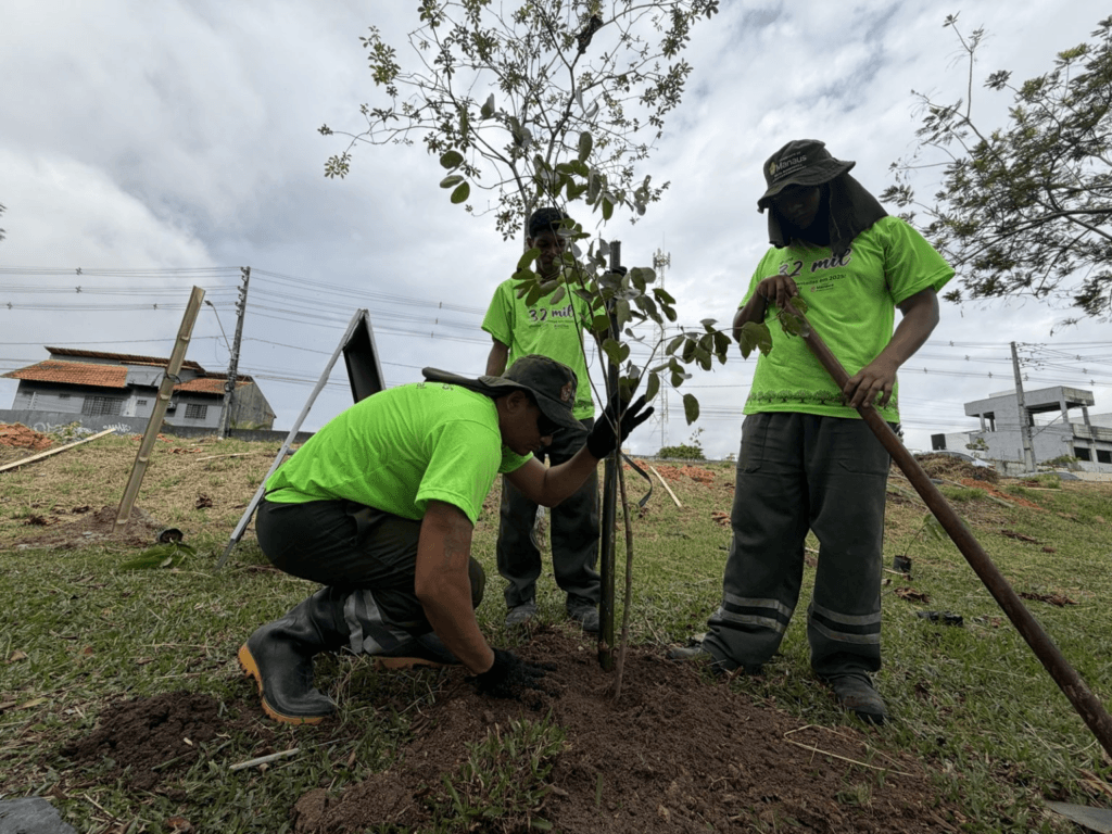 Prefeitura de Manaus já plantou 13,4 mil mudas em ações de arborização em 2026