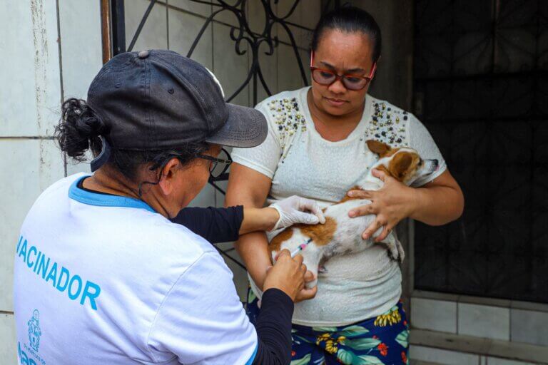Prefeitura de Manaus publica edital com nova convocação do processo seletivo para atuação na vacinação antirrábica animal