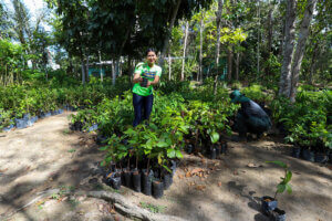 Prefeitura de Manaus celebra Dia da Árvore com recordes de arborização e doação de mudas