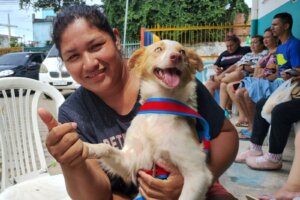 Prefeitura de Manaus abre agendamento on-line para castração de cães e gatos no castramóvel Caramelo